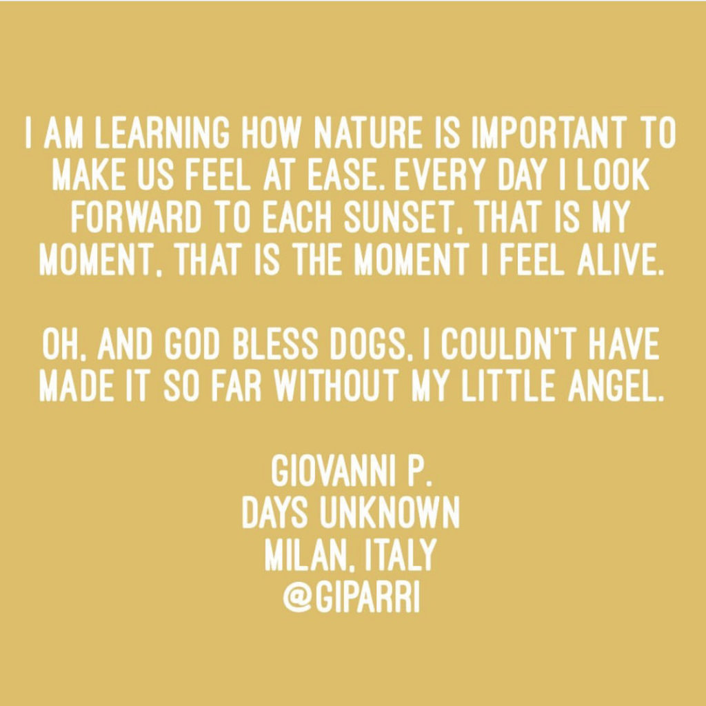 Giovanni P Quote